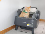 Análise do Oneisall Ease S1: finalmente, uma caixa sanitária inteligente que não custa um braço e uma pata