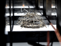 Novo livro sobre evidências arqueológicas de Jesus chega ao topo da lista dos mais vendidos