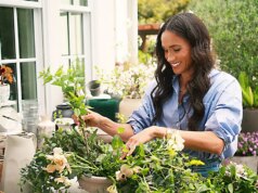 Os sonhos fracassados de Meghan Markle com Martha Stewart ridicularizados pelo comediante: ‘Ela estava fazendo geléia’