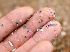 RFK Jr, chefe da EPA ‘declaram guerra’ aos microplásticos em meio a evidências crescentes de riscos à saúde