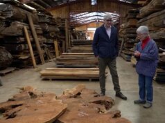 Criando um legado de madeira