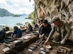 Novas evidências mostram que os primeiros humanos construíram vastas redes oceânicas nas Filipinas há 40.000 anos