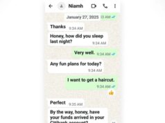 A IA está alimentando um aumento nos esquemas de fraude criptográfica, dizem os investigadores do IRS