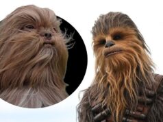 Do cachorro Chewbacca ao gato Ed Sheeran: por que sósias de animais de estimação se tornam virais