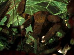 Veja os estágios iniciais de como o ‘Projeto Hail Mary’ deu vida a Rocky