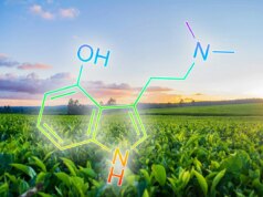 Pesquisadores descobrem como adicionar psilocibina, DMT e outros psicodélicos ao tabaco