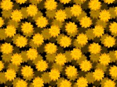 A plataforma De-Fi Drift suspende depósitos e retiradas após milhões em criptografia roubadas em hack