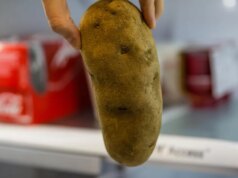 Mantenha estes 11 alimentos fora do congelador a todo custo