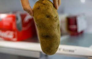 Mantenha estes 11 alimentos fora do congelador a todo custo
