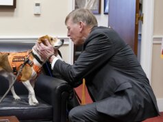 Partido Republicano visa testes em animais transgêneros em demanda de financiamento ao NIH