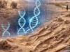 Descoberta do Saara: esqueletos de 7.000 anos com DNA desconhecido, quebra-cabeças dos cientistas