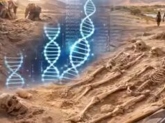 Descoberta do Saara: esqueletos de 7.000 anos com DNA desconhecido, quebra-cabeças dos cientistas