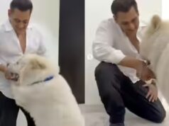 As fotos de Salman provam que ele está mais feliz com seu cachorro – PICS