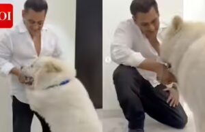 As fotos de Salman provam que ele está mais feliz com seu cachorro – PICS