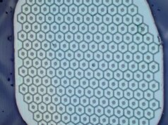 A Science Corp. de Max Hodak está se preparando para colocar seu primeiro sensor em um cérebro humano