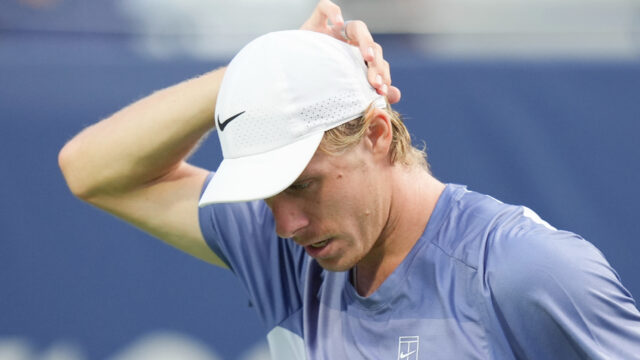 shapo-1.jpg