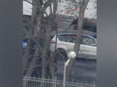 Atirador nascido em Moscou morto após tiroteio em Kiev deixa pelo menos 6 mortos e 14 feridos: Zelenskyy