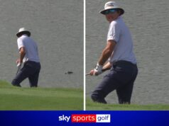 Alligator observa enquanto Dahmen é baleado da crista da água!