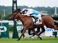 Inexperienced Spirit e Narissa se enfrentam no Prix de la Grotte