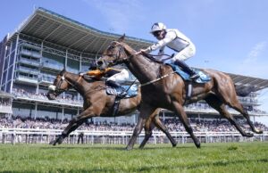 Dicas de Newcastle: Marshman apoiado para conquistar a glória do dash para Burke