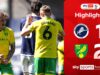 Norwich dá um golpe de ‘martelo’ nas esperanças de promoção automática do Millwall