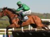 Gaelic Warrior sela dobradinha da Gold Cup em Punchestown