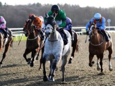 Hoje na Sky Sports activities Racing: El Matador retorna em Lingfield