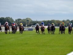 Seven Questions e Dyonisos buscam a glória do Troféu de Prata