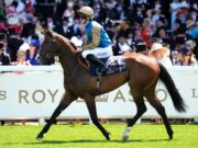 Weblog exclusivo de Hollie Doyle: esperanças do Newcastle fixadas no recruta francês no dia das finais