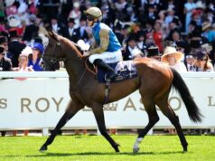 Weblog exclusivo de Hollie Doyle: esperanças do Newcastle fixadas no recruta francês no dia das finais