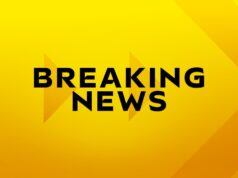 Grande Norte do País de Gales se aposentará do rugby no remaining da temporada