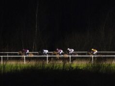 Artagnan e Gold Star Hero se enfrentam em Wolverhampton