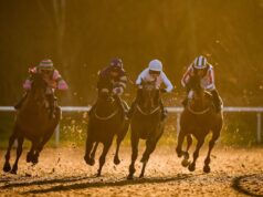 Hoje na Sky Sports activities Racing: Wolverhampton e Sedgefield apresentam na sexta-feira