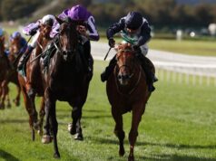 Doyle: Zavateri é o vencedor em Greenham