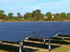 Cientistas geraram energia photo voltaic após o anoitecer, graças a um truque com madeira