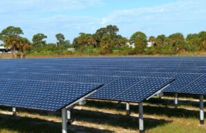 Cientistas geraram energia photo voltaic após o anoitecer, graças a um truque com madeira