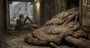 ‘A bolha mais mortal da Terra’: por que a pata de elefante de 2.000 quilogramas de Chornobyl ainda não pode ser destruída