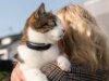 Esta nova coleira para animais de estimação que monitora a saúde é como um smartwatch para cães e gatos