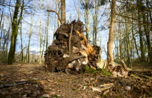 Bebê entre os três mortos no terror do feriado enquanto a caça aos ovos de Páscoa se torna mortal