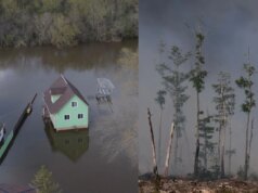 A seca na Flórida alimenta incêndios florestais enquanto pedaços de gelo atingem casas em Michigan após grandes inundações