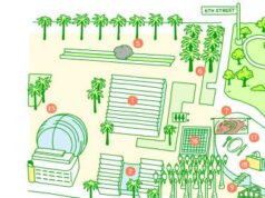 Venha para a escultura viva de Jeff Koons, fique para o vinho: um mapa das galerias David Geffen do LACMA