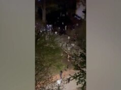 Multidão violenta de jovens invade as ruas e ataca policiais em uma selvagem ‘aquisição de adolescentes’ capturada em vídeo