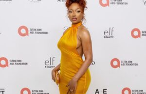 Megan Thee Stallion hospitalizada após sair do ‘Moulin Rouge! Meio do present do Musical