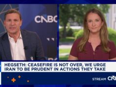 O Irão não tem “golfinhos kamikaze”, diz Hegseth. Mas os mamíferos marinhos têm uma longa história de uso militar