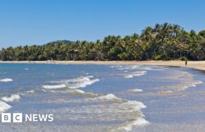 Homem morto em ataque de tubarão na costa nordeste da Austrália