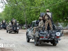 Líder sênior do EI morto pelas forças dos EUA e da Nigéria