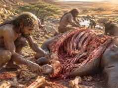 Ossos de 1,6 milhão de anos revelam como os primeiros humanos realmente conseguiram sua carne