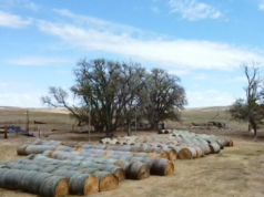 Depois que um incêndio queimou seu rancho em Nebraska, doadores anônimos vieram em seu socorro