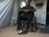 ‘Os ratos são como uma tempestade’: palestinos que buscam refúgio nos escombros lutam contra infestações de roedores