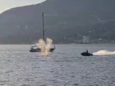 Vídeo captura baleia cinzenta sendo atingida por Sea-Doo em Vancouver
